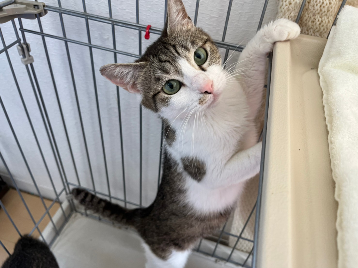 LINE_ALBUM_20220701_220705_6