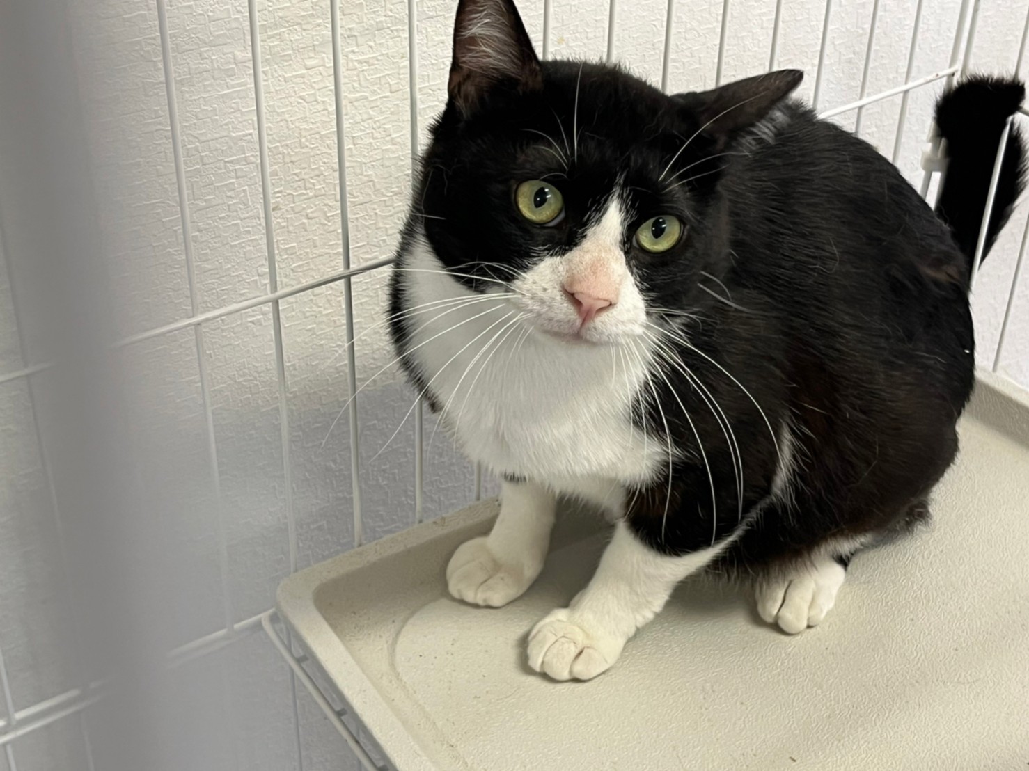 LINE_ALBUM_20220701_220707_4