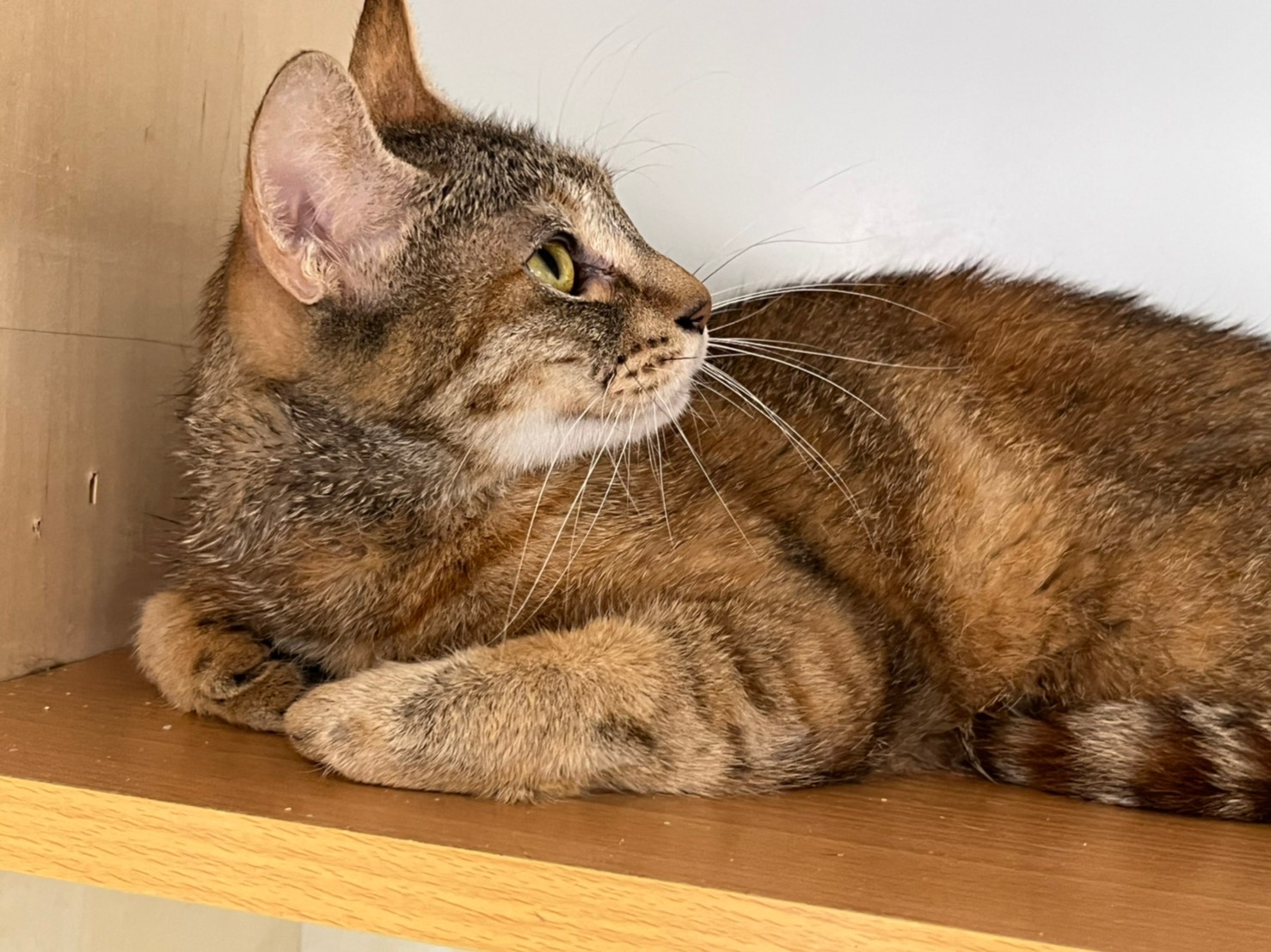 LINE_ALBUM_20220701_220712_0_1