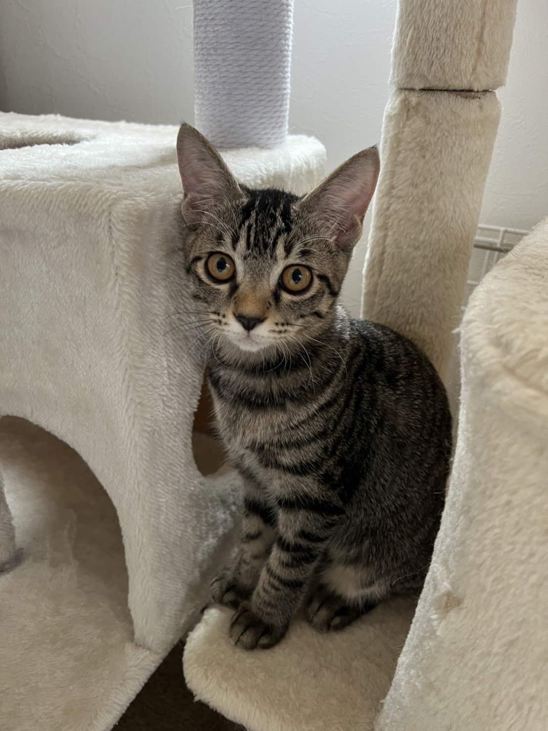 A14217F6-C89C-40FE-8146-105E3B3B3264