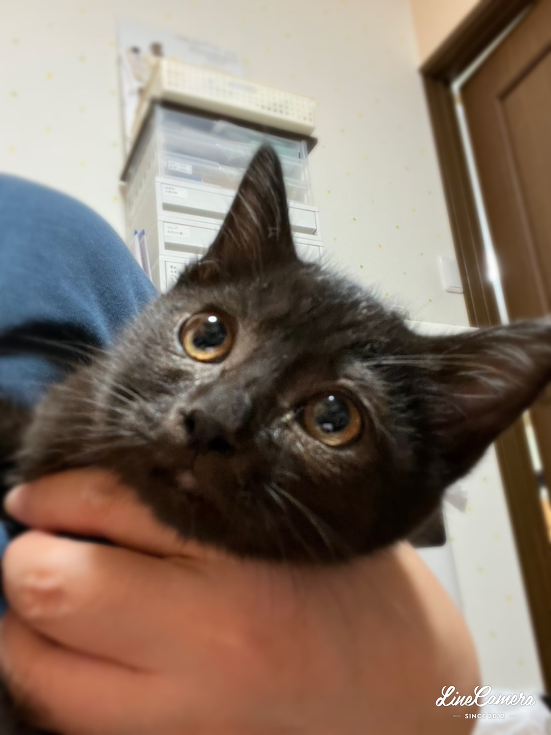 B72DB169-C35A-4125-A68E-D4C4250AA498