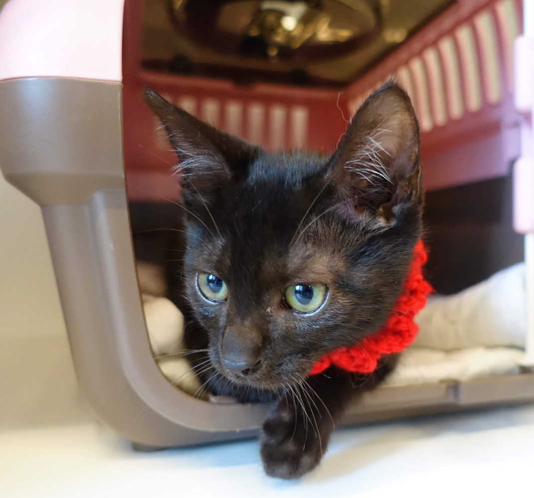 Screenshot_20220817-230954~2