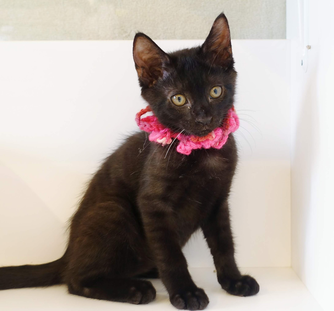 Screenshot_20220817-234626~2