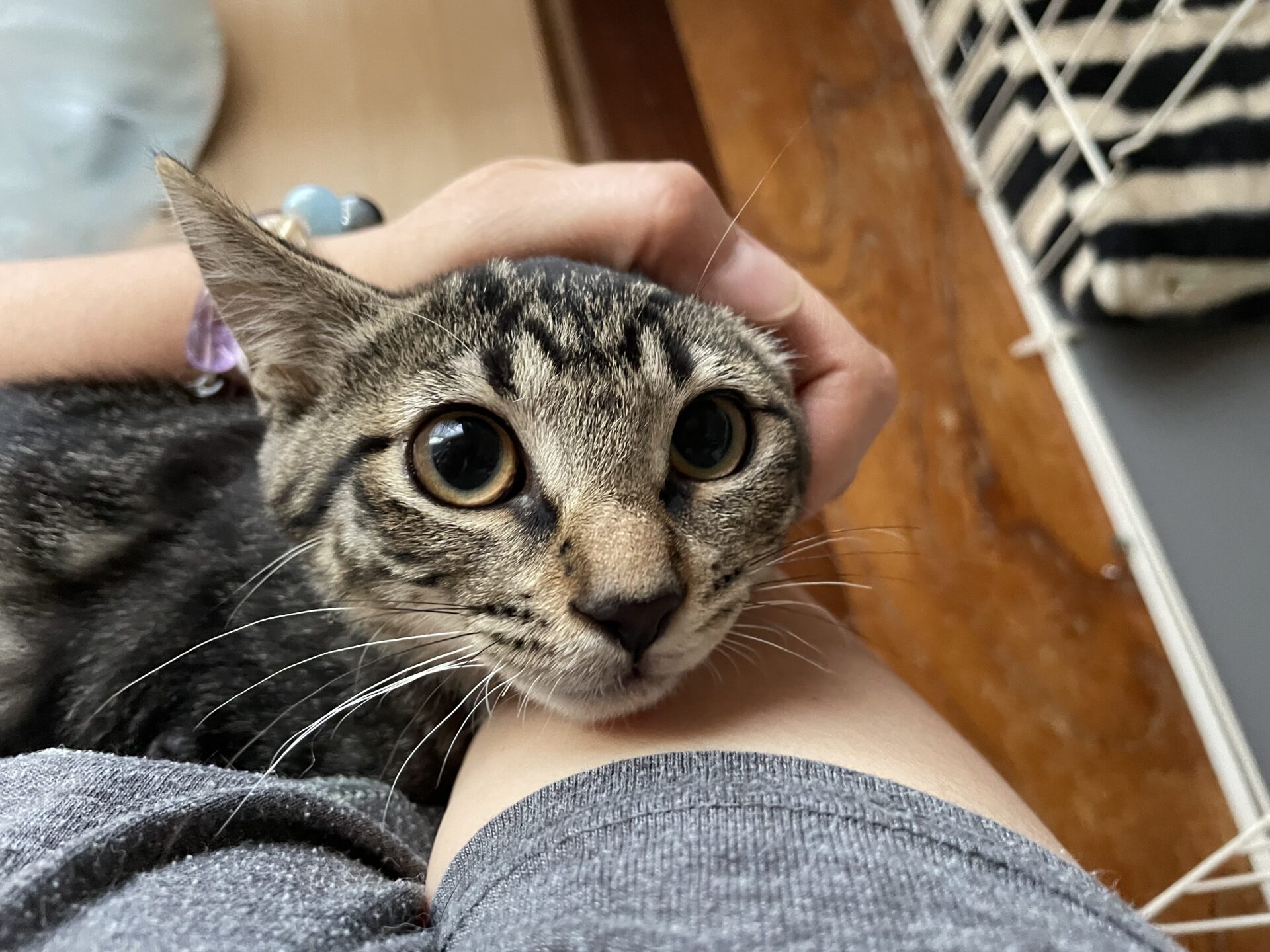 2845928C-1BF7-4B14-BA26-90031770D458