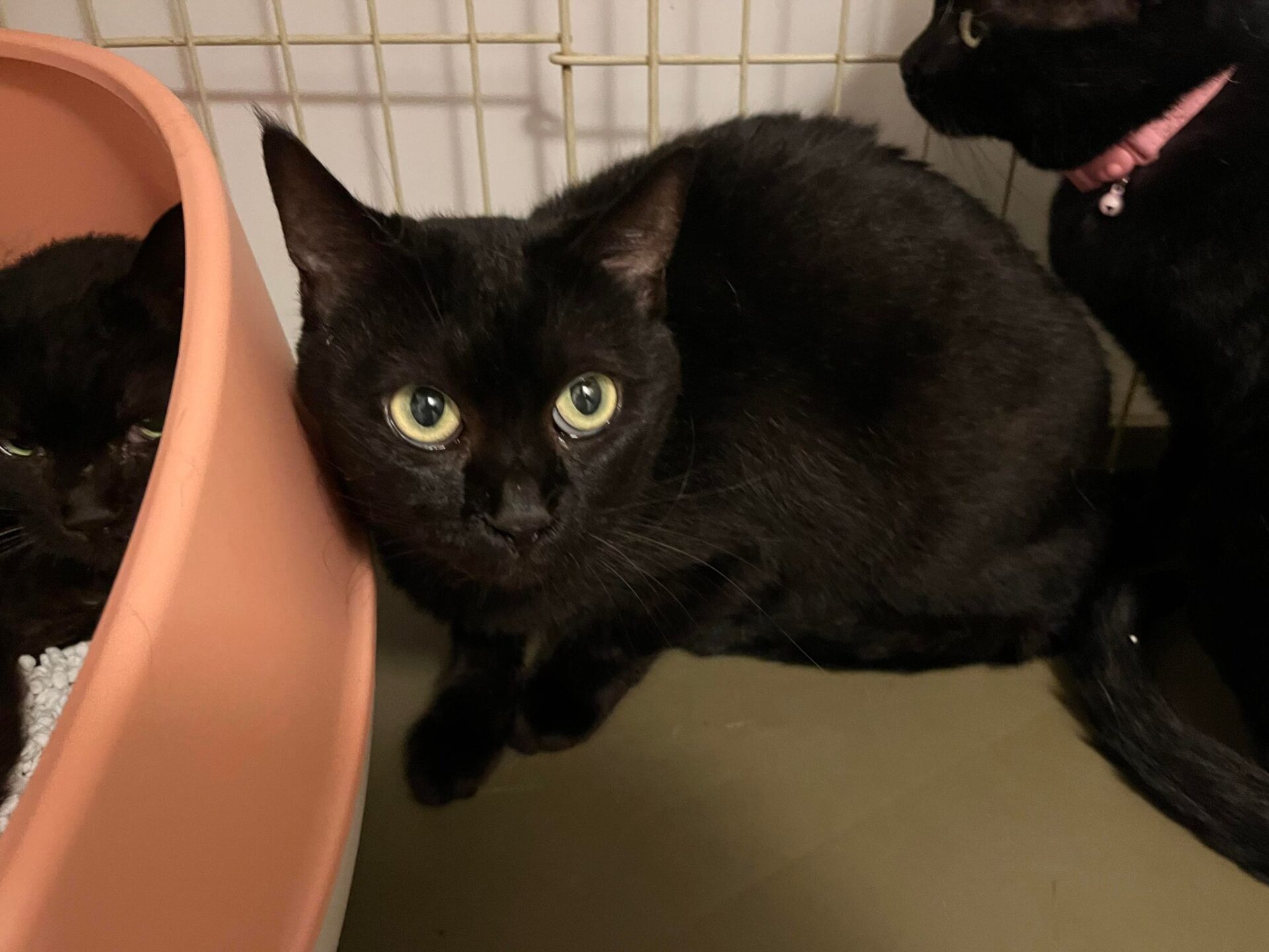 297025394_534989285067104_1564609036877195913_n