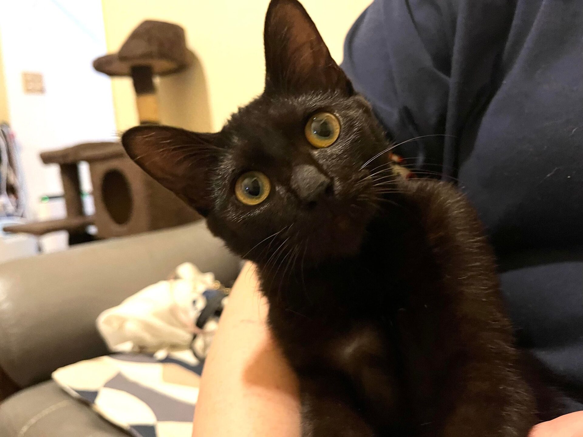 302583944_1227510994491994_6558271961363113579_n