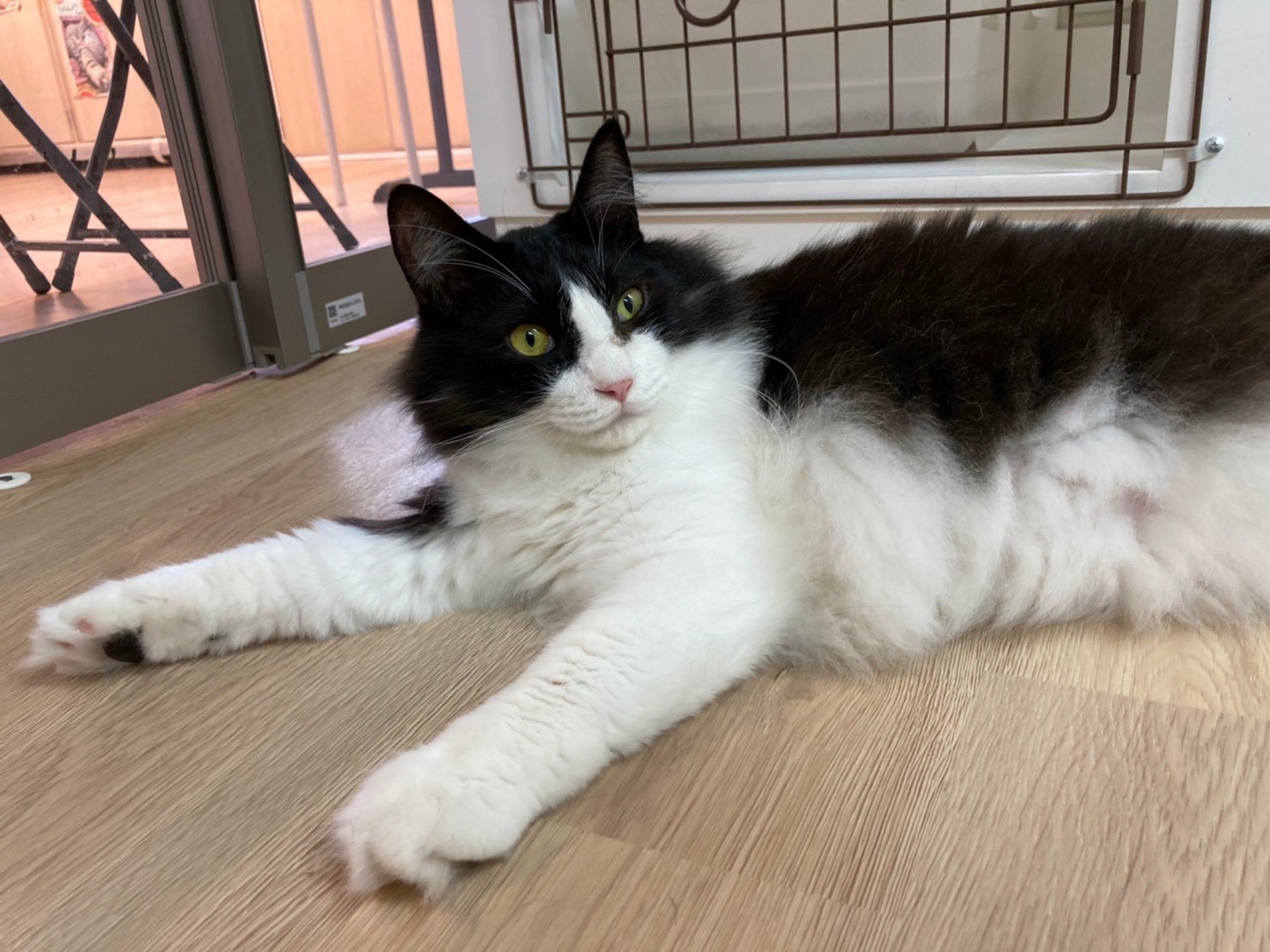 3B064064-B9F6-437F-83C4-15F7D3D3D28A