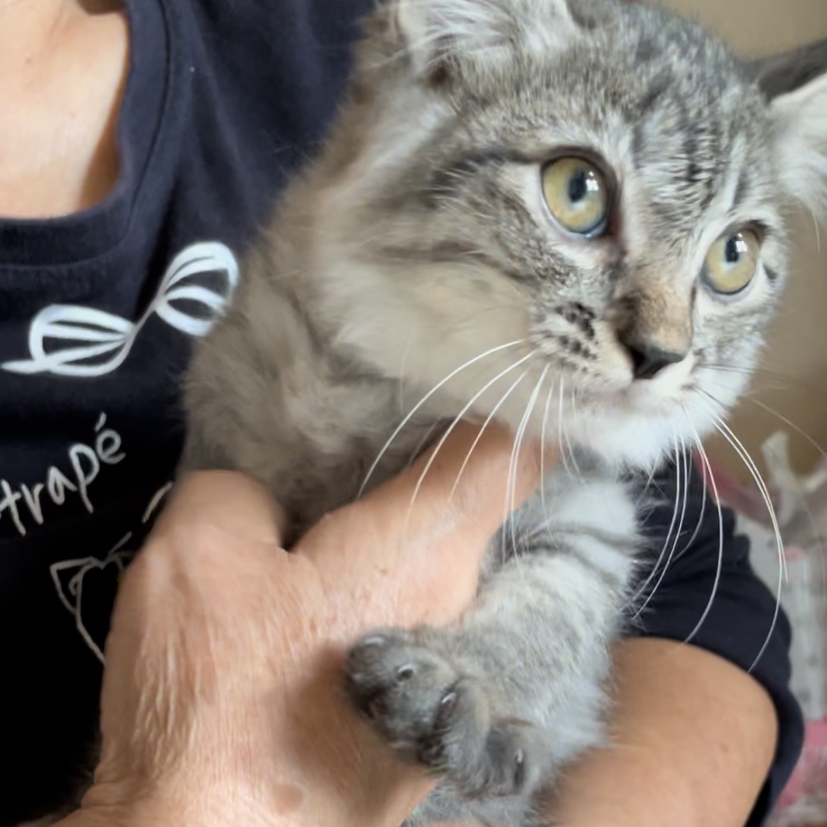 3B962EE0-7D2E-44E7-A11A-E0D38E2D0534