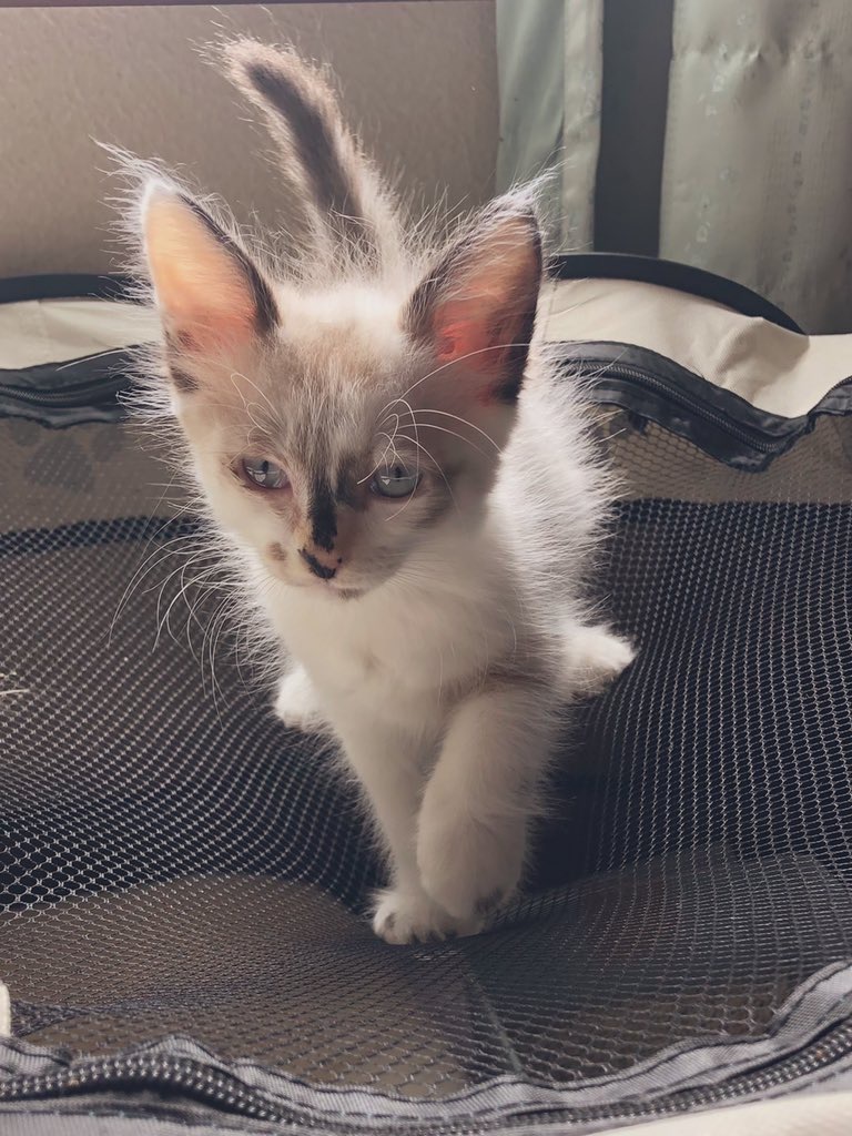 740E85A6-94C7-4EDC-8682-DFB9290285EC