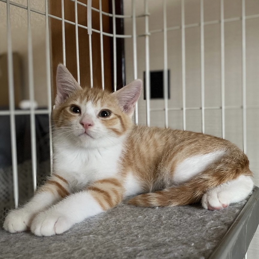 7B2C26F7-7648-4426-85C3-36A594BD42DC