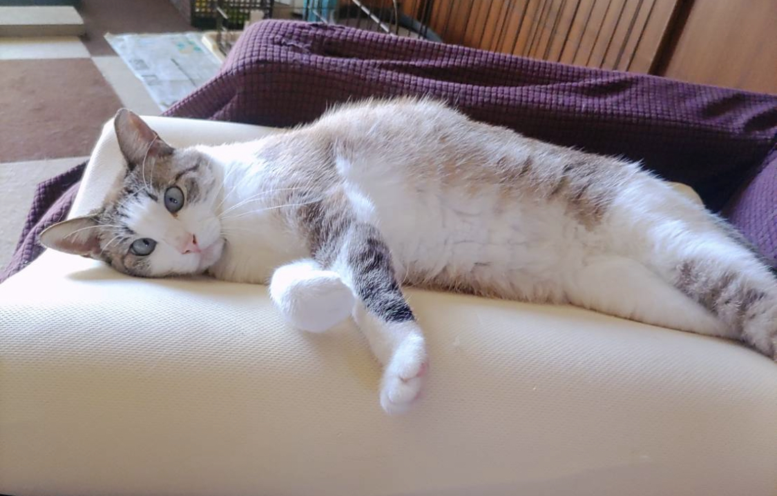 7D7C9B8C-DD05-4C8B-96C5-3056AF080748