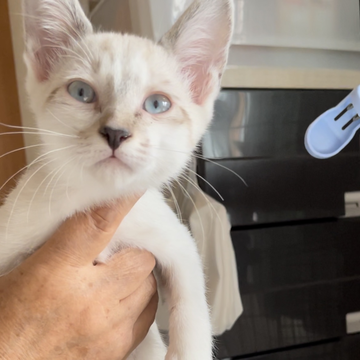 DCFD7AE3-B9E3-4E69-84E6-A29DC47D9A6B