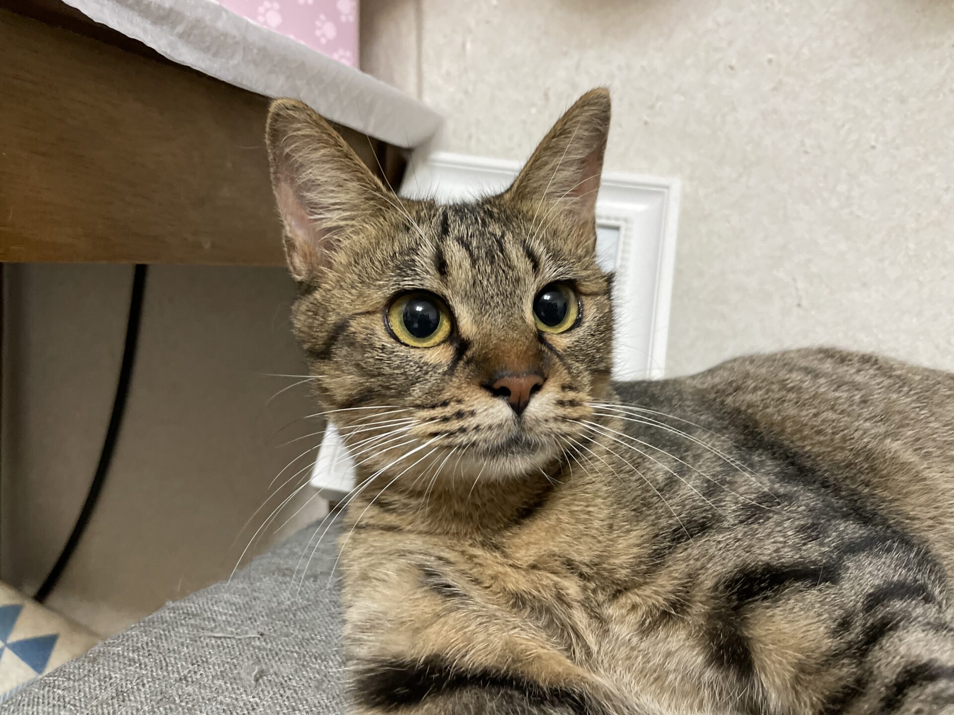 0DB527A3-826A-46D0-BA78-63B3BE77D4F7