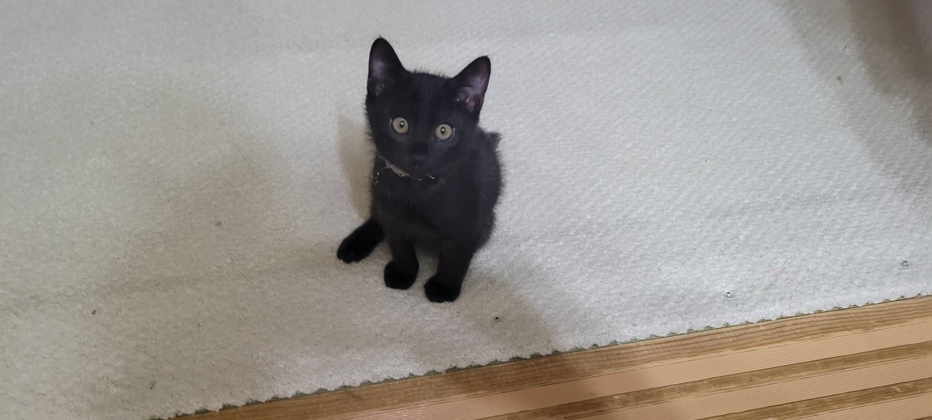 165B9231-F368-4564-B183-6D5A9BE61EA0