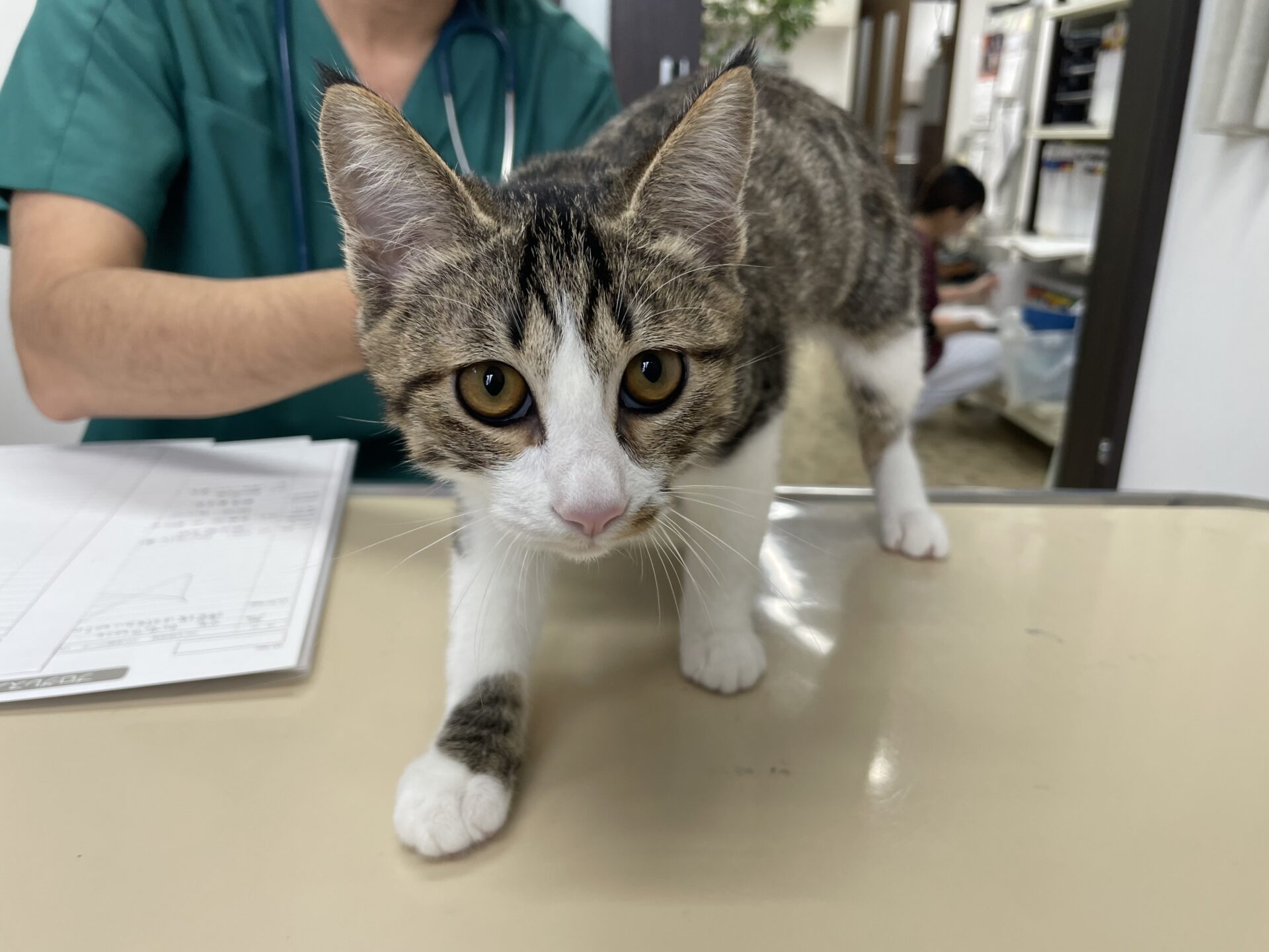 2123D5DF-D80A-4D55-8FAD-C4C34890455D