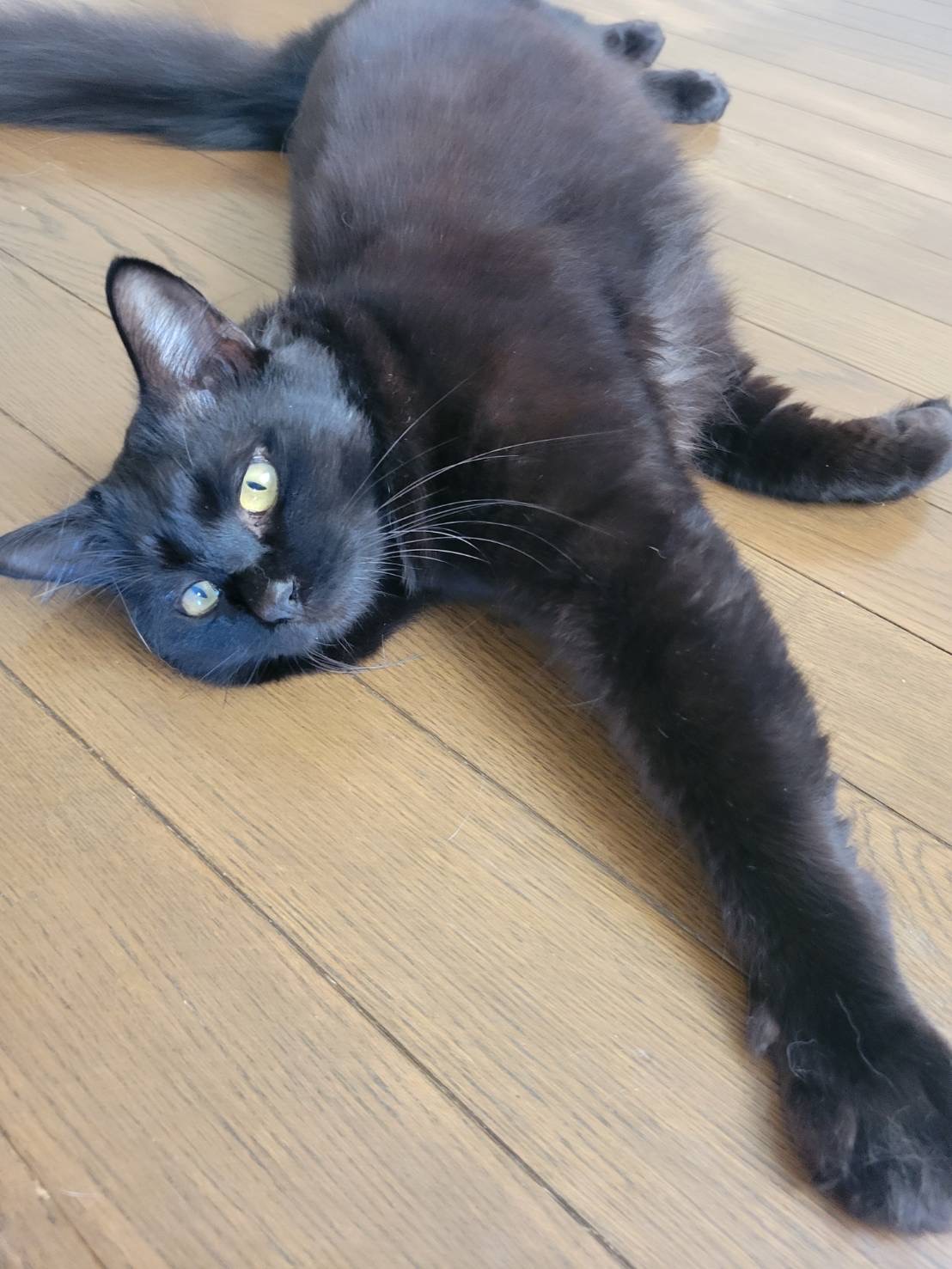 29B1FC74-55EB-4BD7-8F83-A80C1101962B