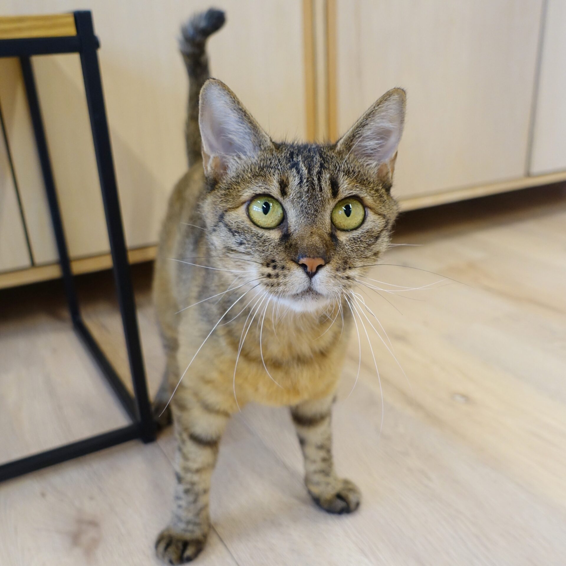 348B73D3-80C7-4C48-A906-2EDA876F1626