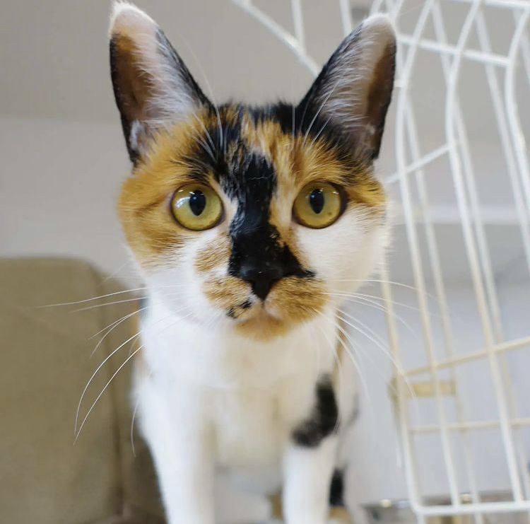 5E3502E9-6C99-4F04-8686-20E03A02A75D