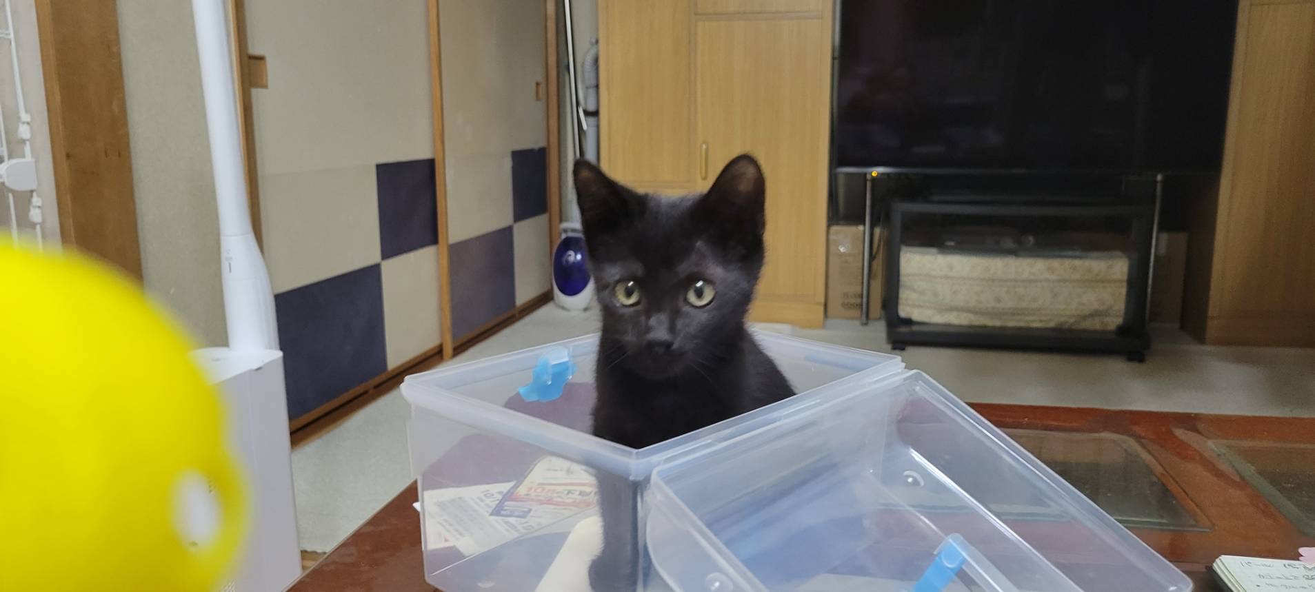 E017FC84-373B-4F8B-AFE2-B65413C703C4