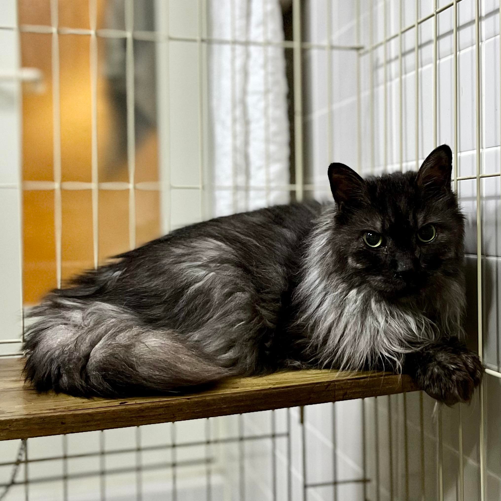 314418018_1167232990888235_2936969098690410380_n