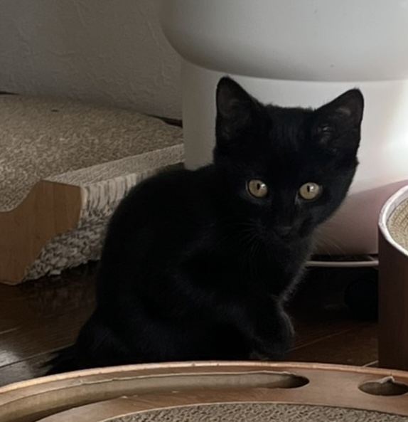 9AC450B2-B782-476A-A716-1528A943E54D