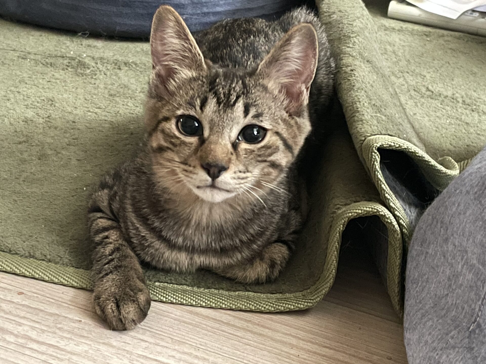 C780C1CE-746D-44A2-81DF-0386AFA5E3DD