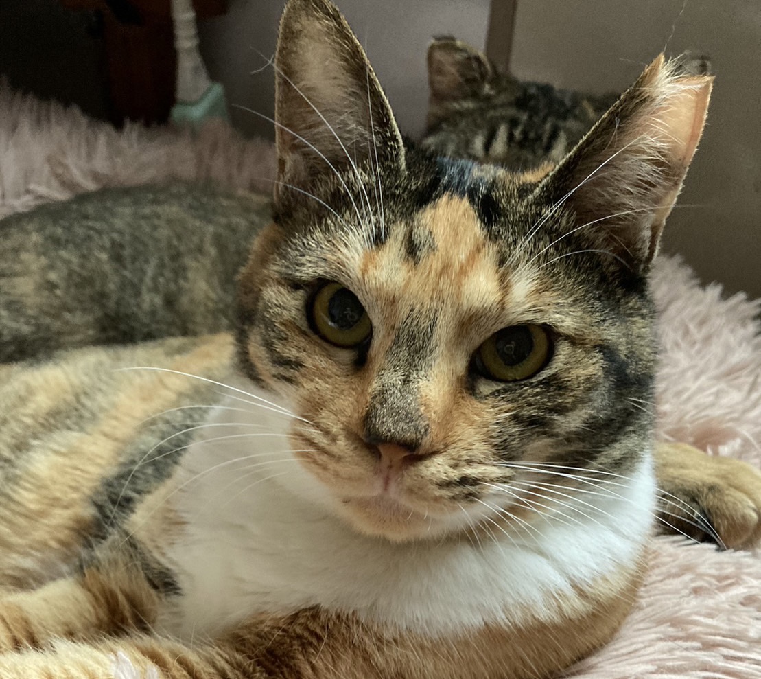 D6063C51-B55D-4F2A-BB92-BE72247BDDCA