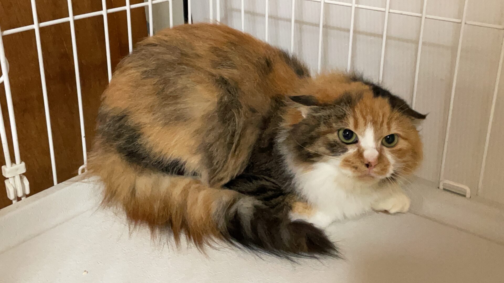 DC0F5D30-4C45-432F-863E-BA1AFF865A46