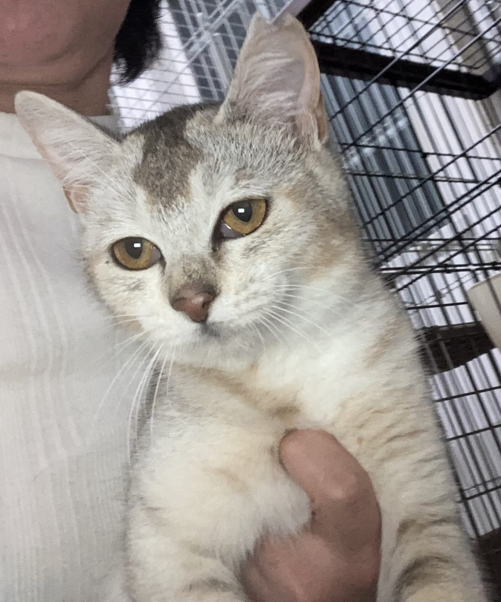 EF63275B-0A54-4778-A8DC-FA9426827319