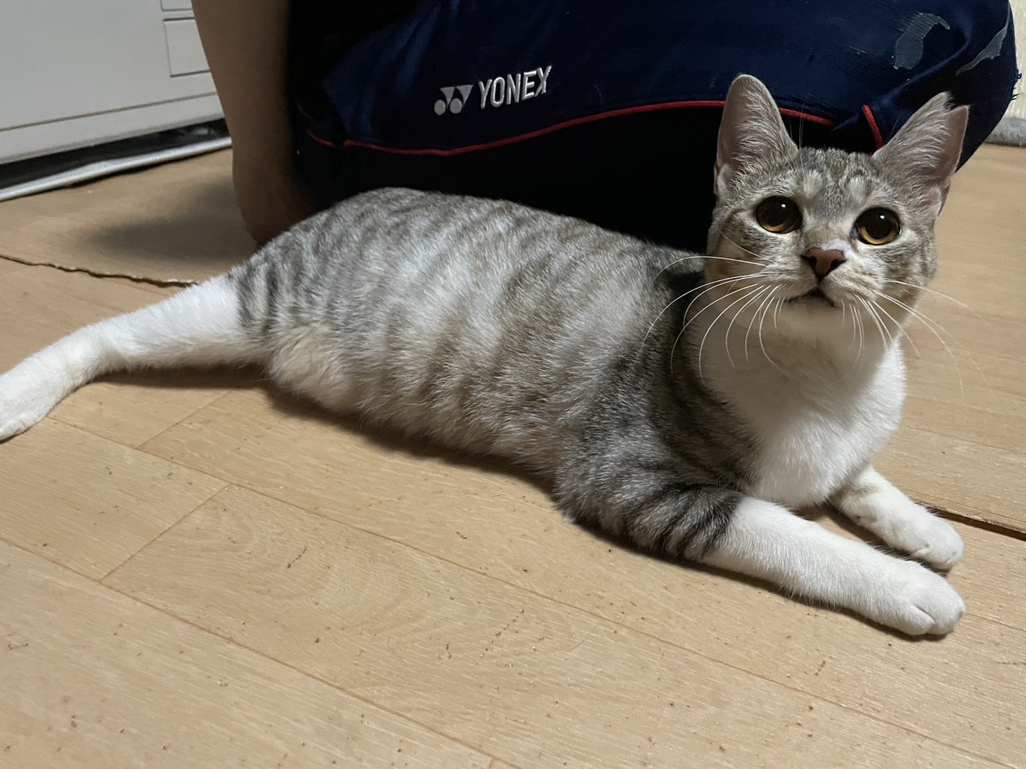 F4990C4B-BD24-4F6A-BEC9-83BF27235197