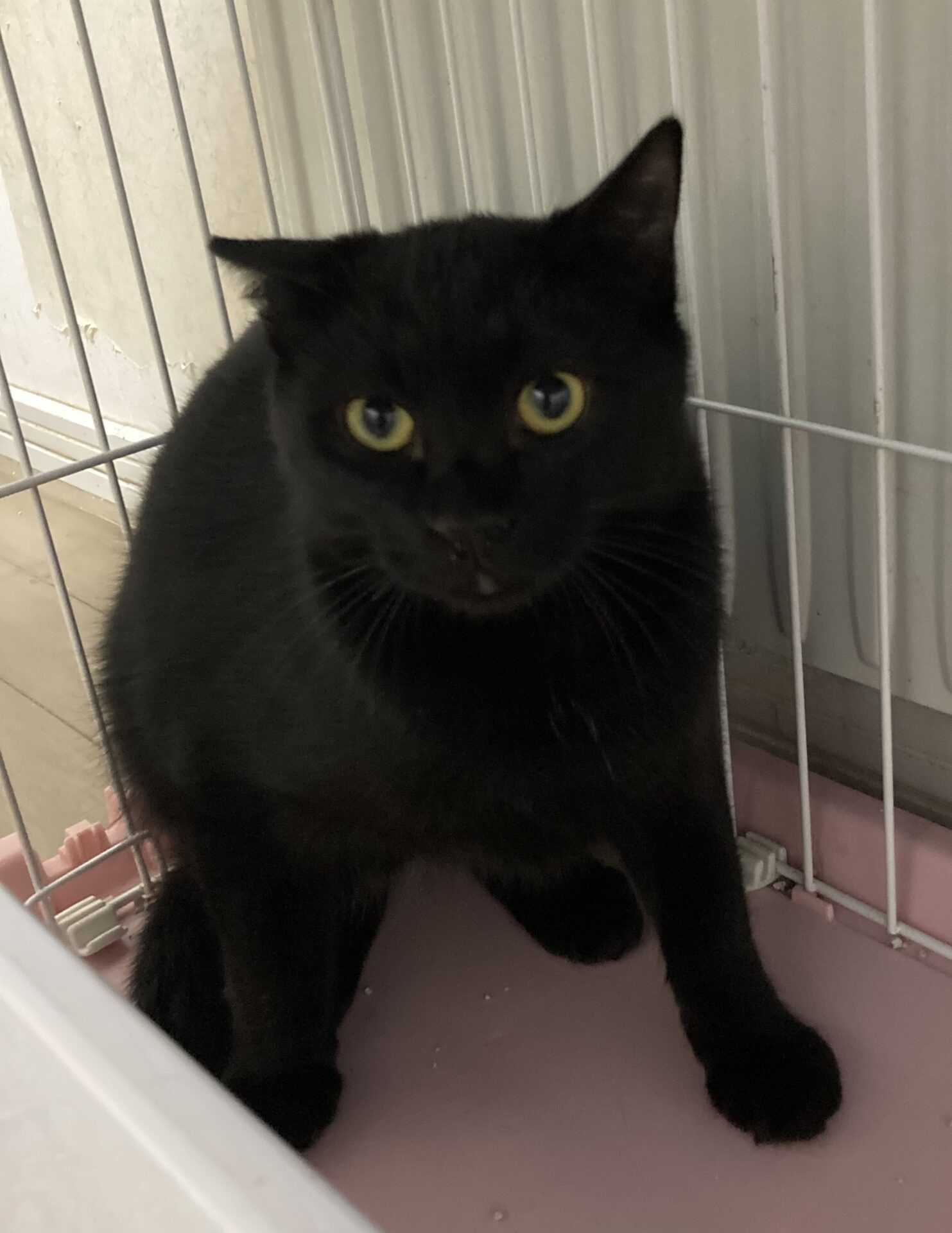 09DC3765-1DB4-467E-A00F-A920A580518D