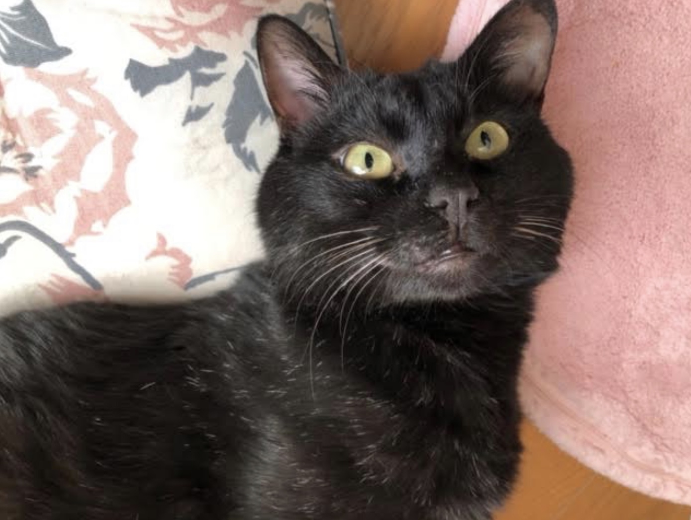 0B5A5FFD-038E-4C5A-8E96-5FAAEF44CE10