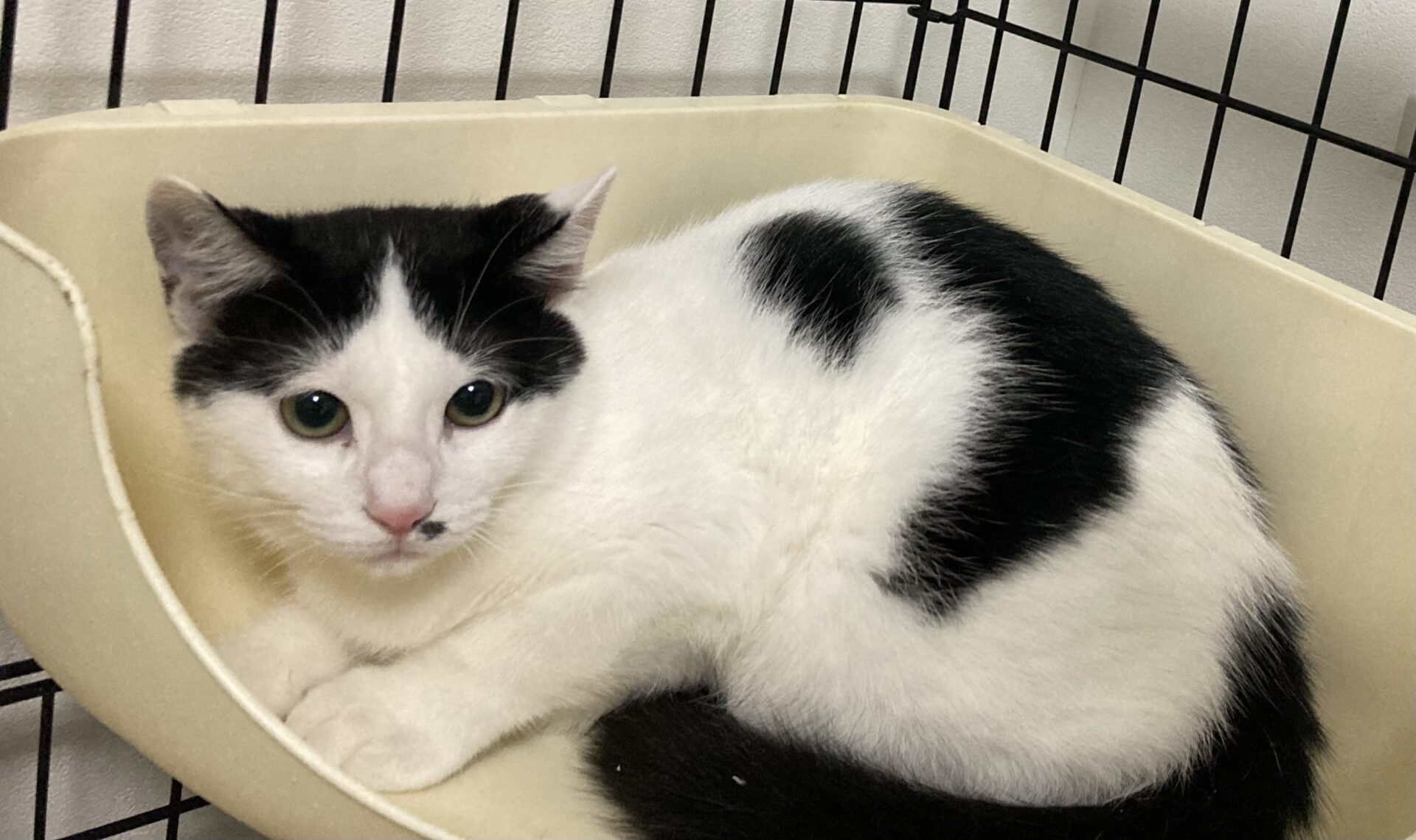 1392C01D-C03F-4CA2-BB65-0A0D2BD1D702