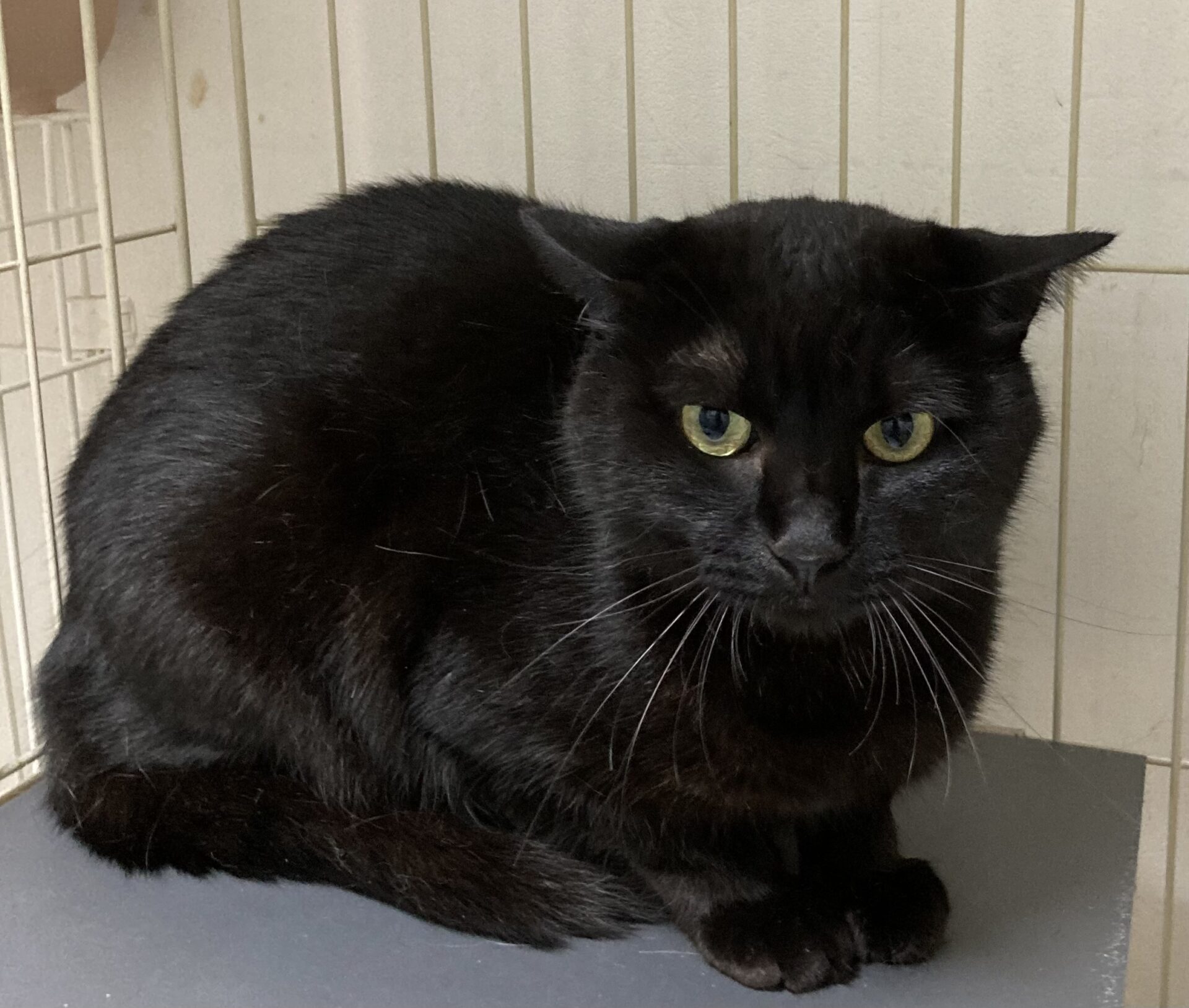 2B22C09A-ED9E-482E-A28C-810BCF0C137B