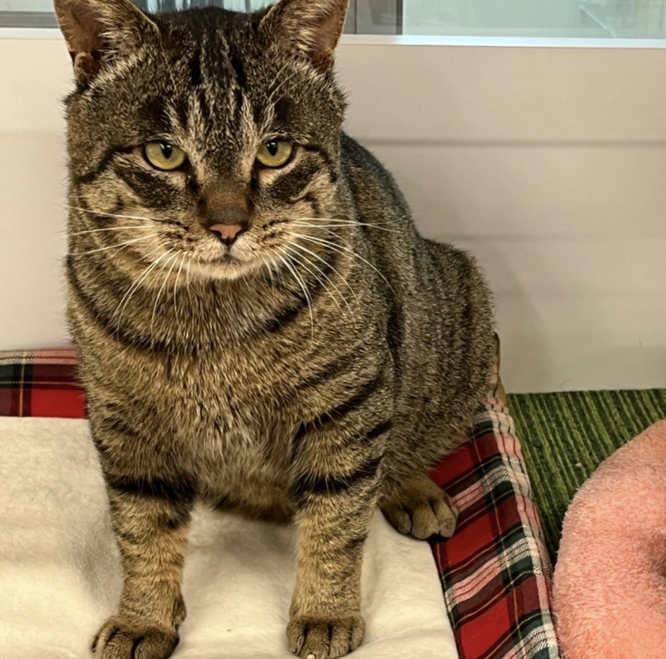 4E34240B-89FF-4306-9EA3-E2FE730F3F24