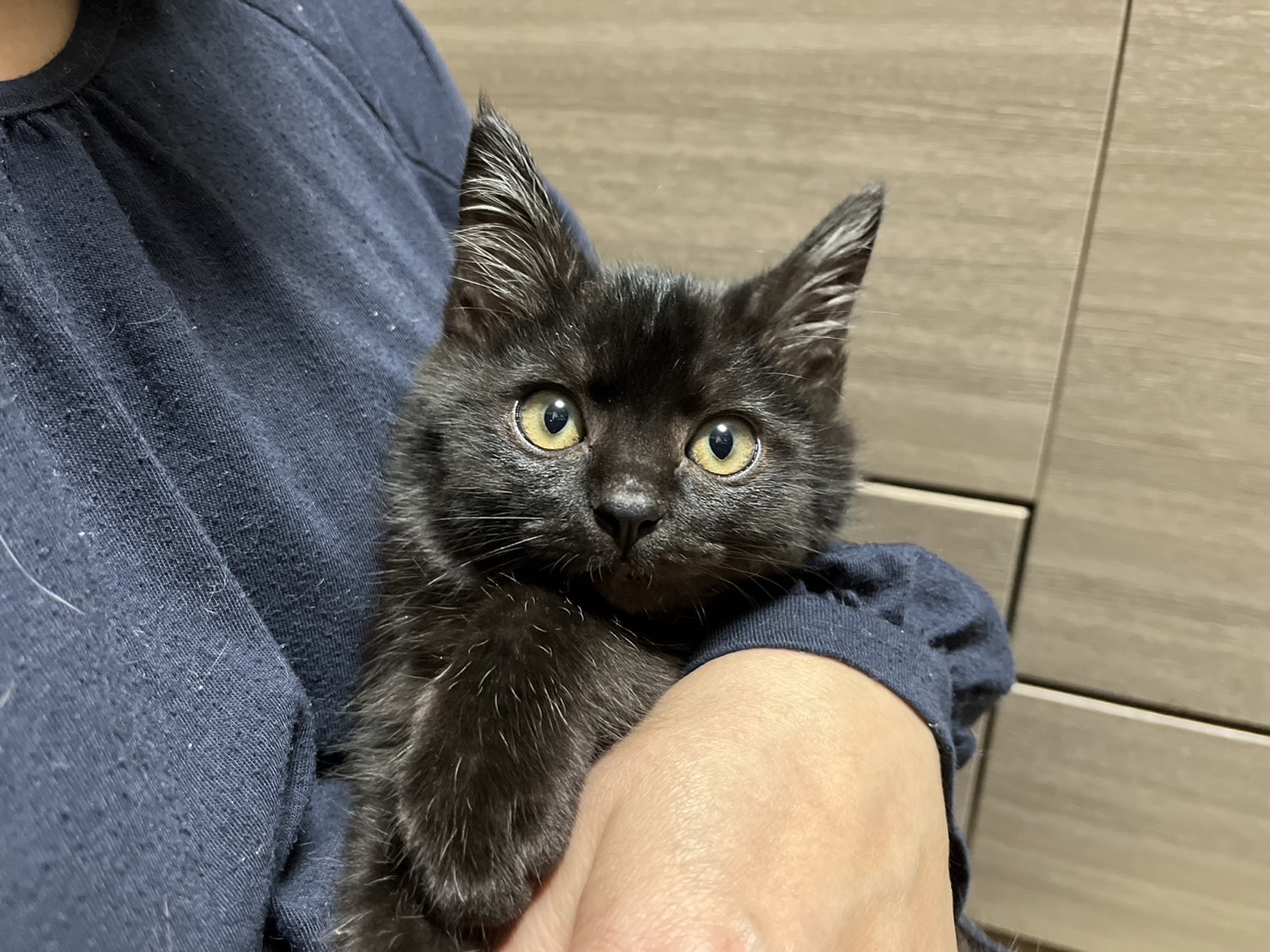 4F6DF3B6-30D1-4E74-B428-1292B6652712