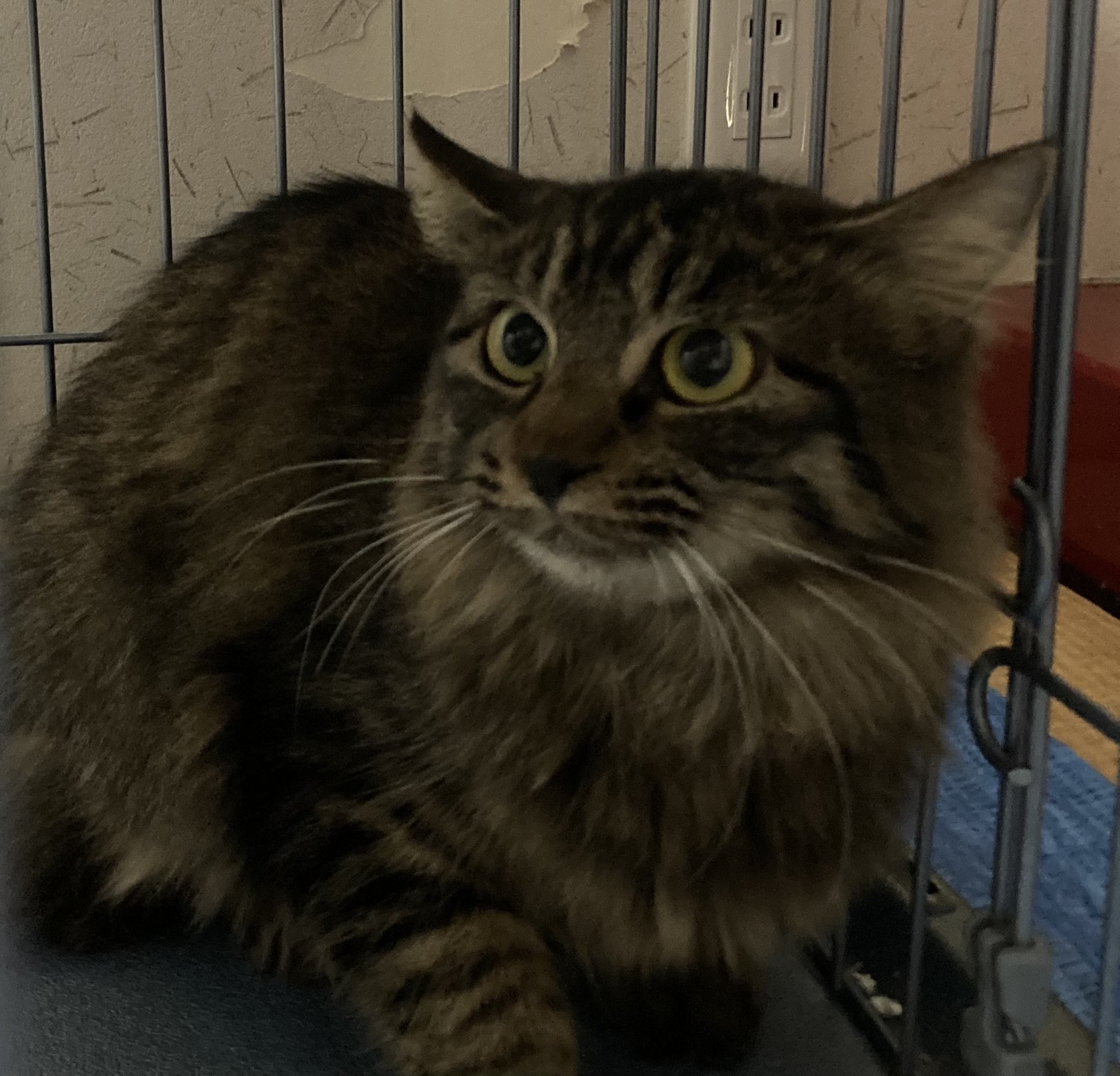 5AFFAE01-7E9B-4FB1-8AB6-D206D1DB905C