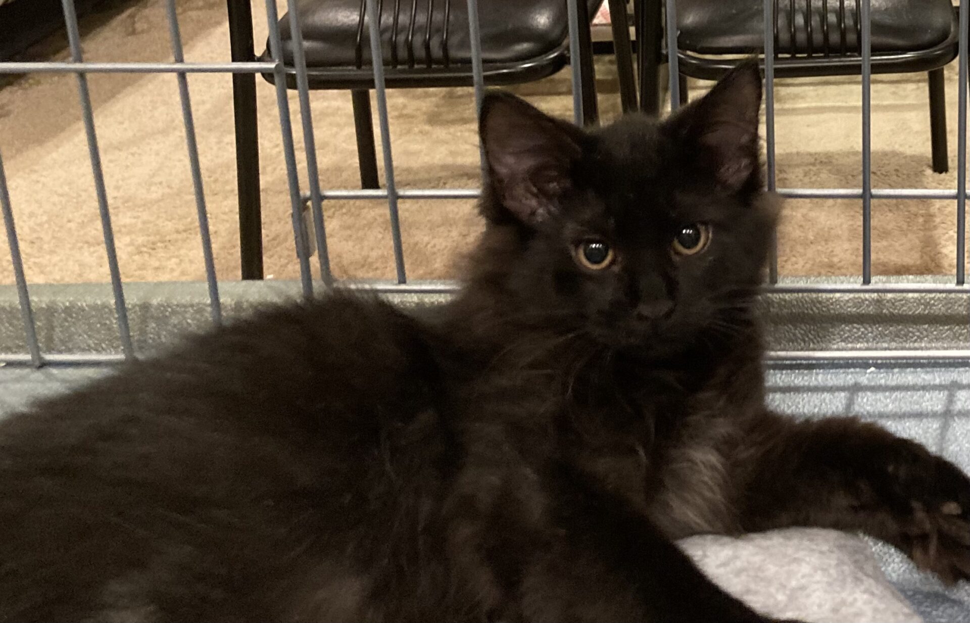 A29B960D-06C1-4B4F-B033-D8EAC5ED0C1C