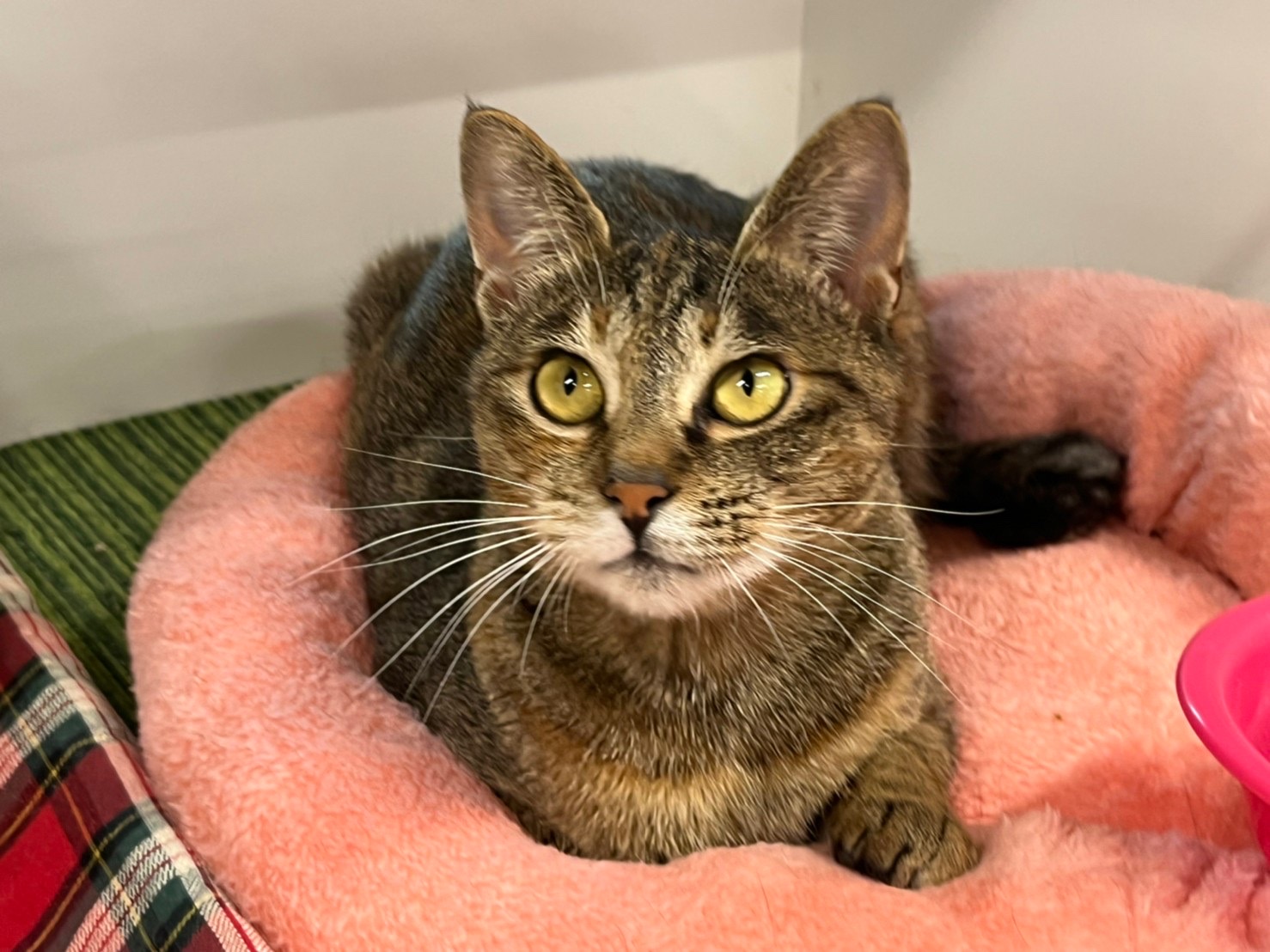 A7A2BC79-F32E-4576-A244-476F06342FF0