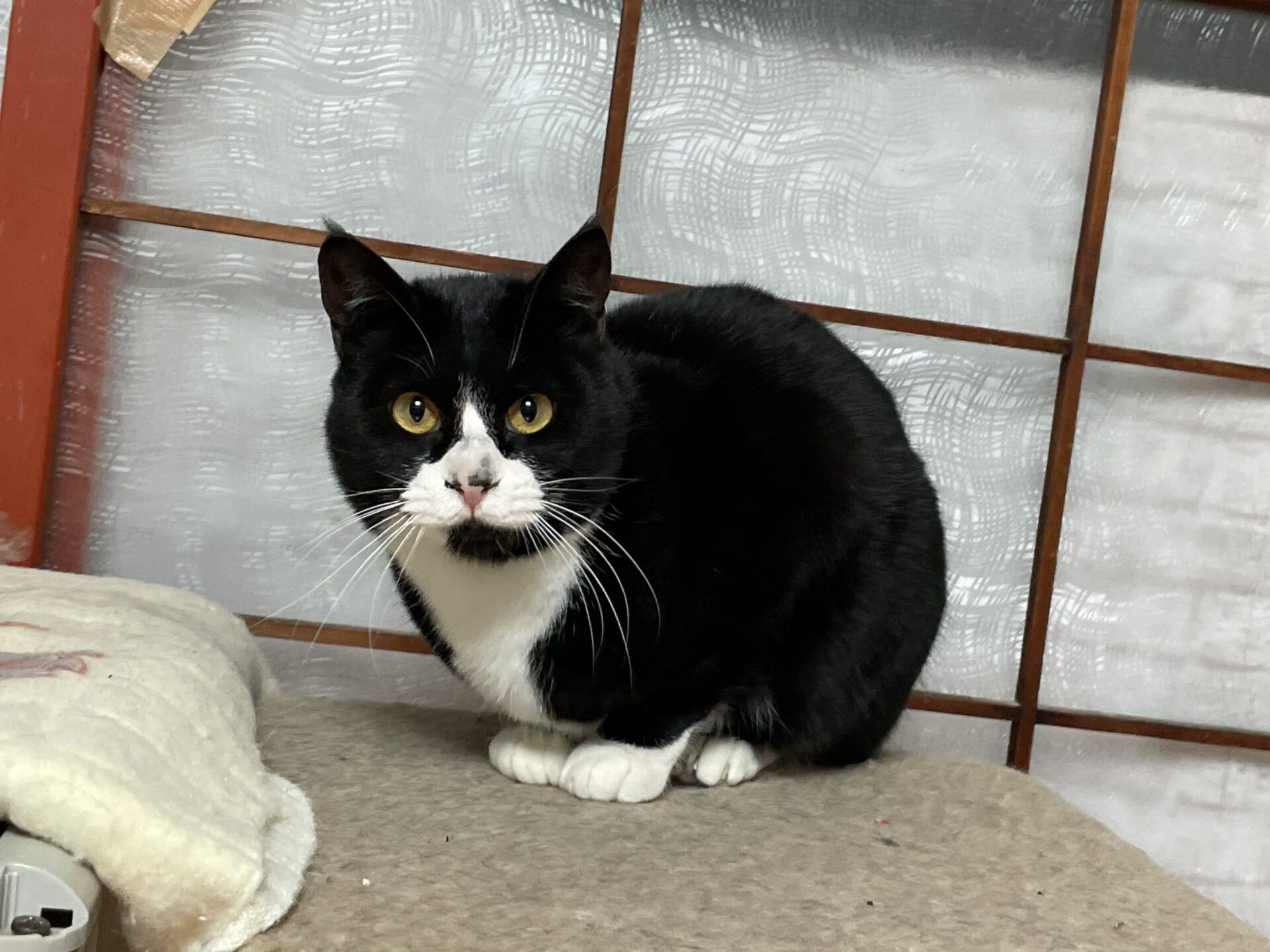 C150ED8A-0D5D-44AA-A60E-9378870AF741