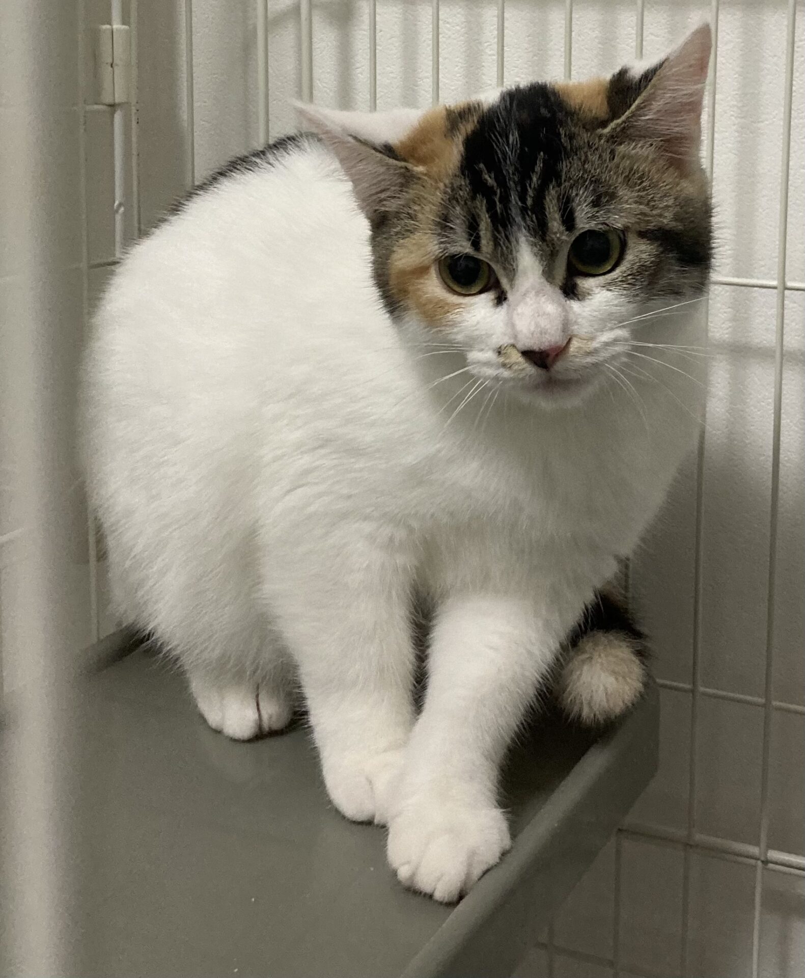 C557DB68-F5CF-4F1D-8A28-BD1668E51A14