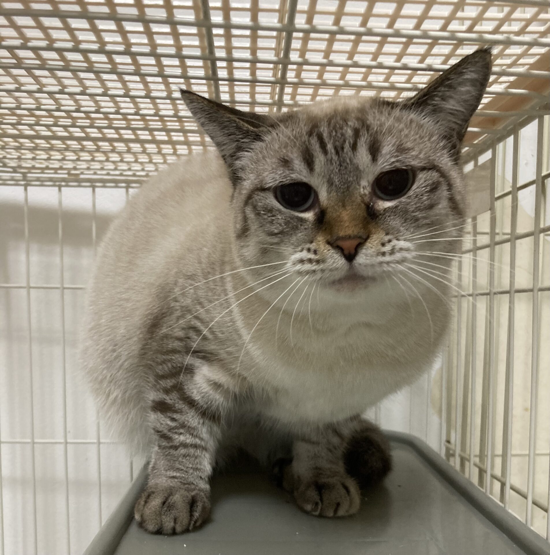 EBF3E0F2-317F-49FF-A4C8-2B9BC44D8783