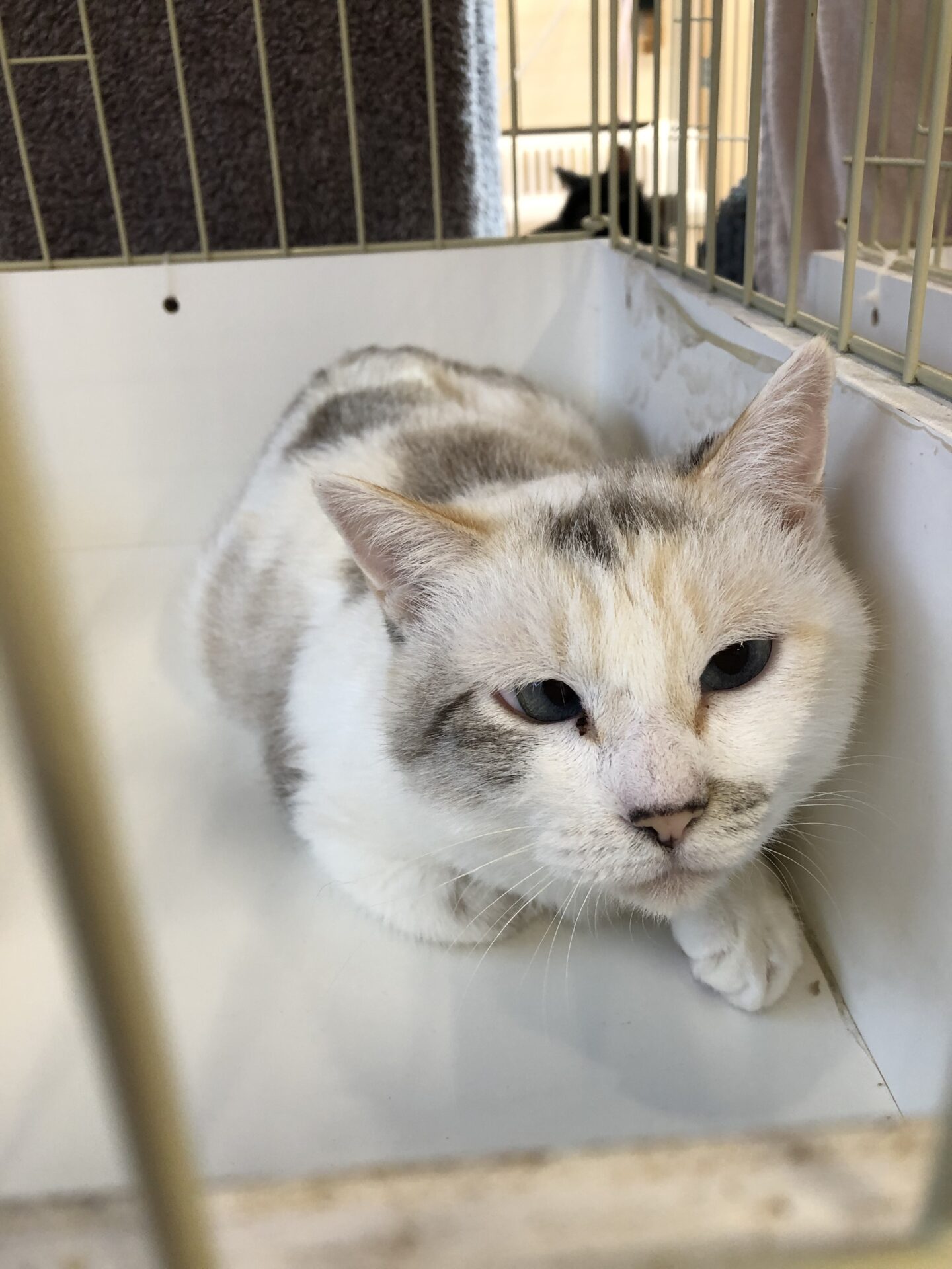 1557CB7F-208B-4442-A702-F0192594795A