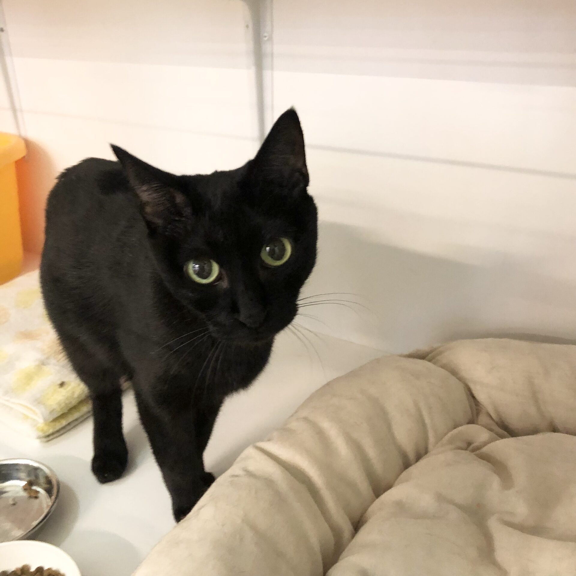 2C792139-0AE3-4ED2-BEA4-21C687F8E755