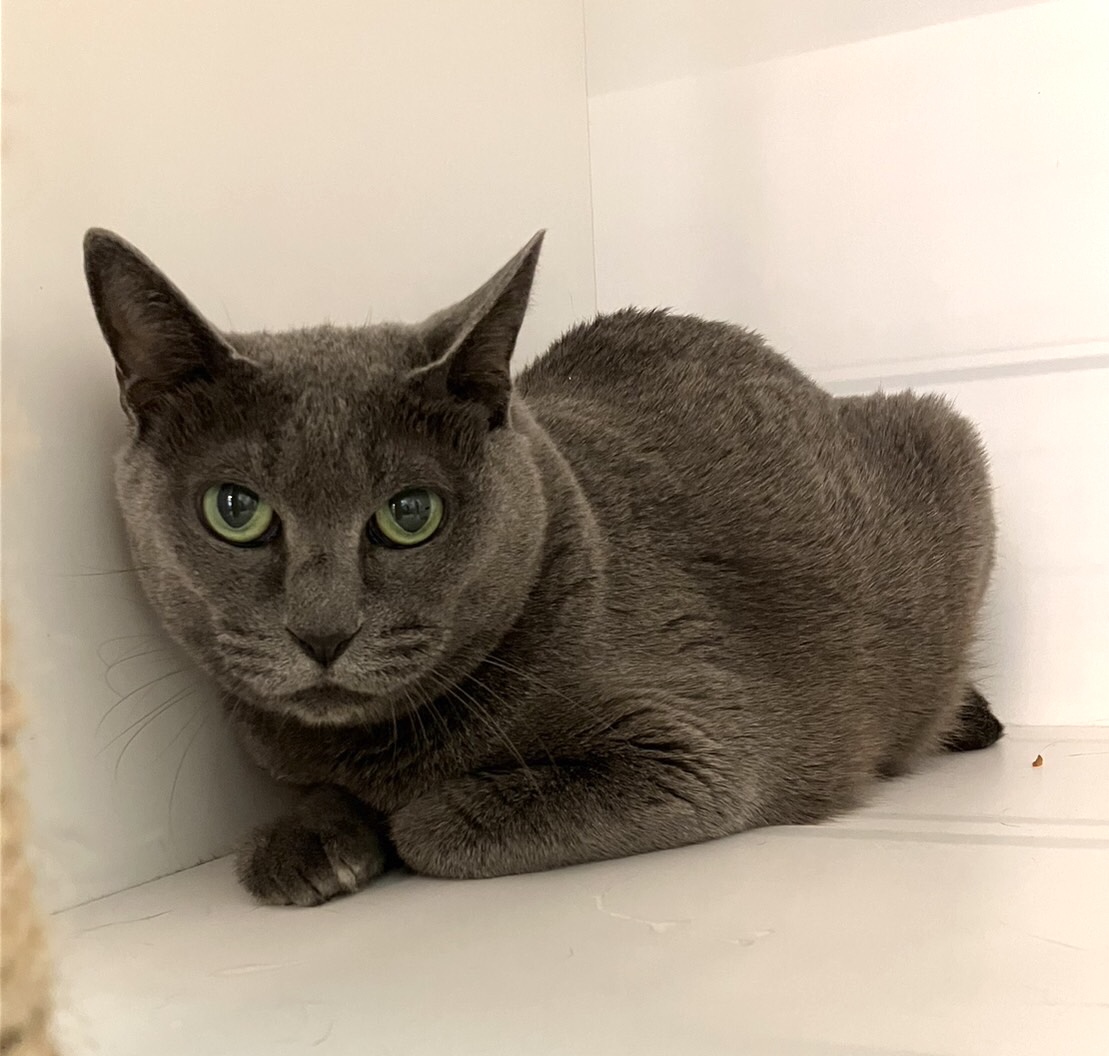 4E875E1E-95A2-43CB-9A37-26EB0898F458