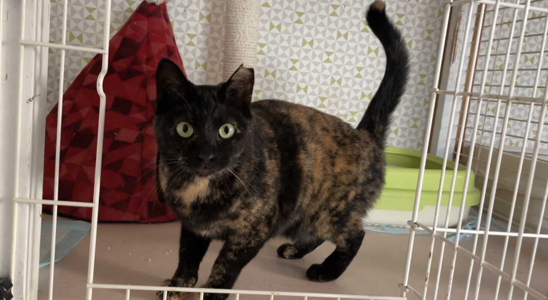 5F8FCD8E-E42C-4909-84F7-A27D0BDA1EA3