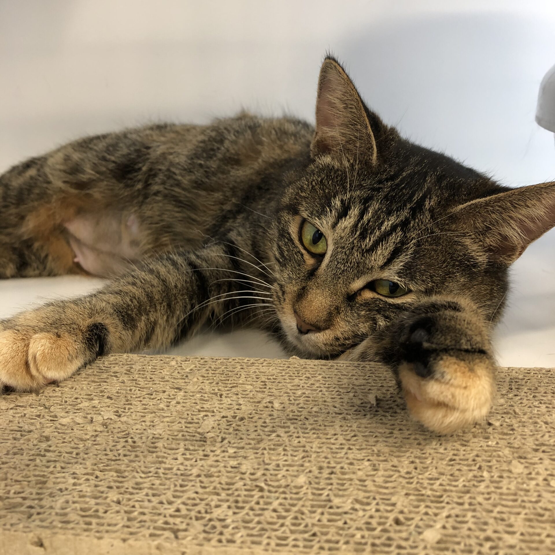 65419177-A7BD-4C13-8994-4AEA63E3B74D