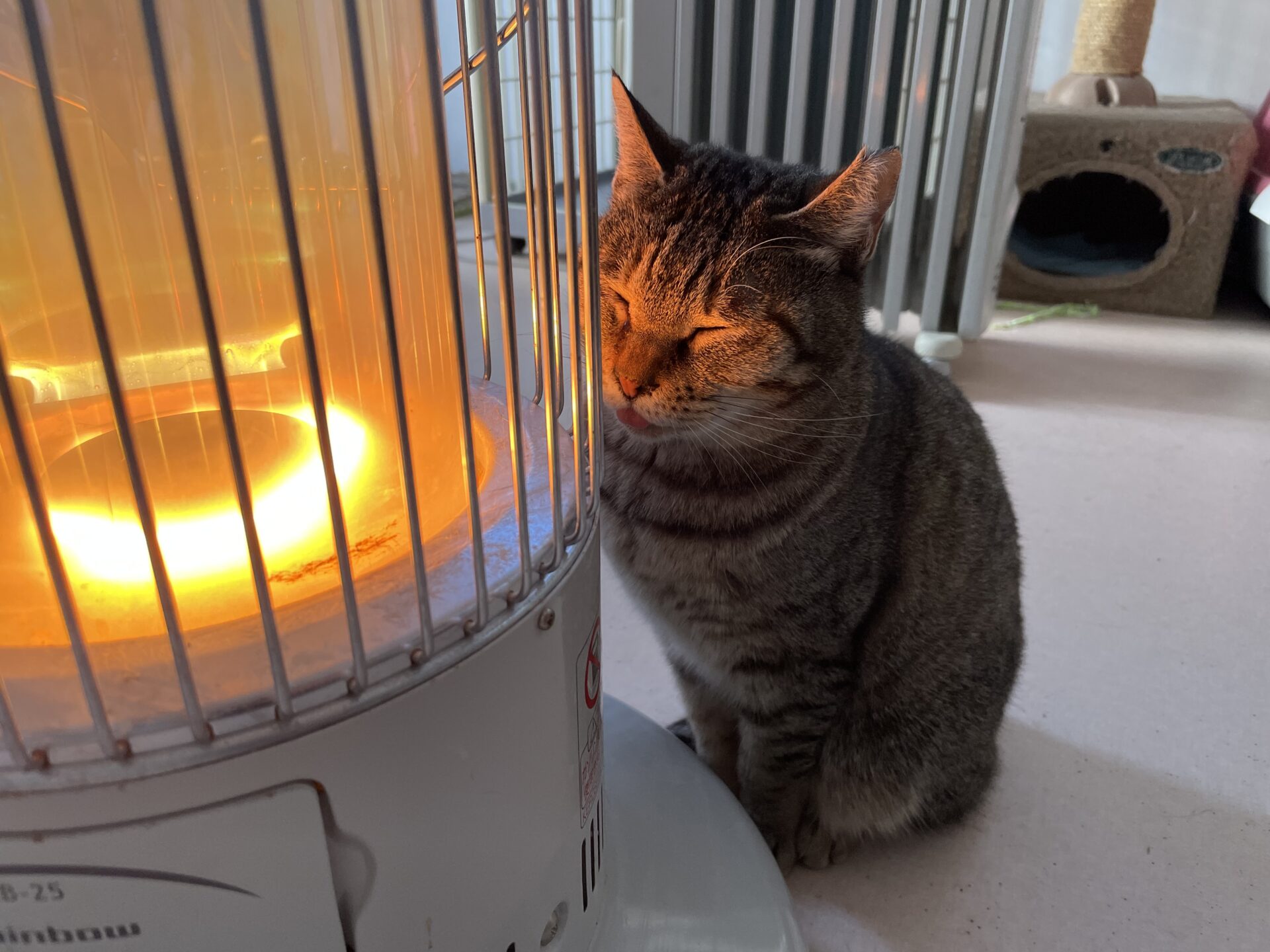 993F4C07-89D7-4441-AC10-6AB1922B20FD