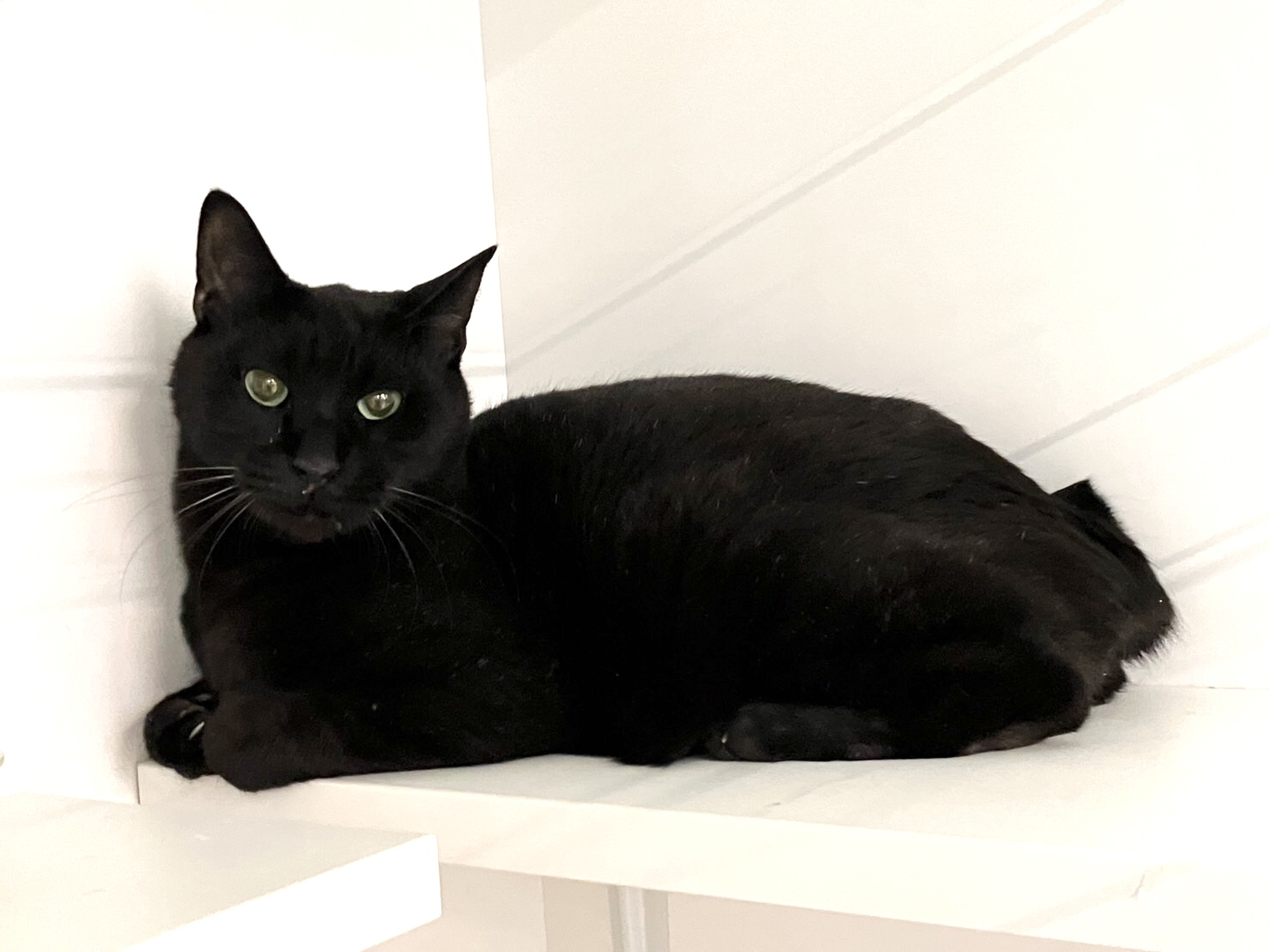 996BA15D-1AC2-4213-AA4D-BB87D3451B6B