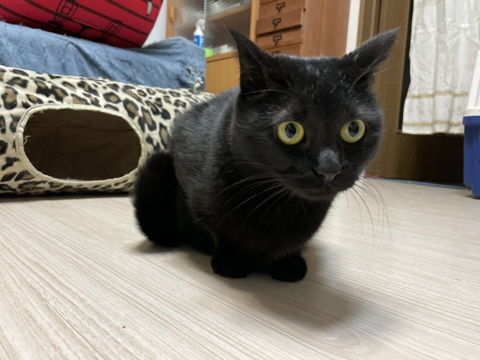 9F47E0AD-0902-485F-89DC-7A9B581E081F